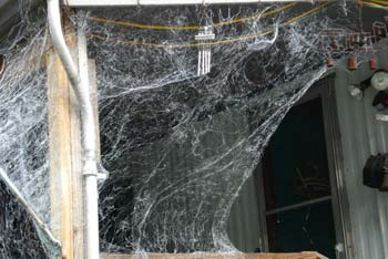 The art of creating spider webs (DIY)